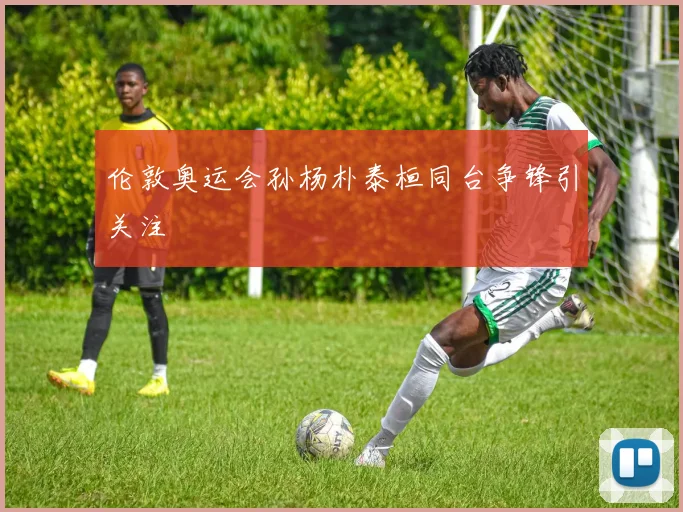 伦敦奥运会孙杨朴泰桓同台争锋引关注