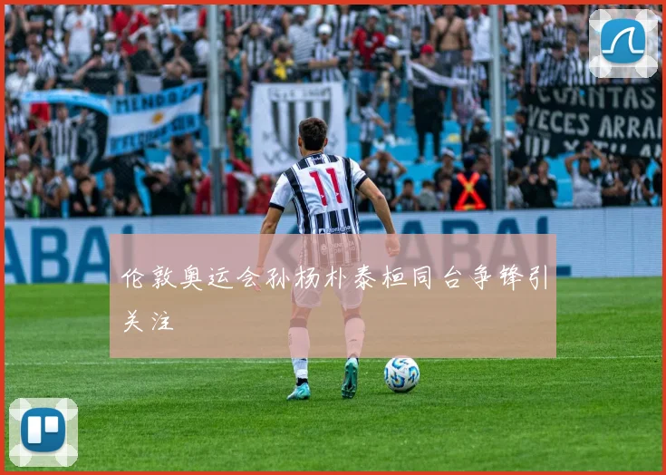 伦敦奥运会孙杨朴泰桓同台争锋引关注