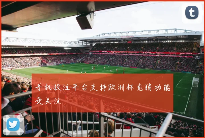 手机投注平台支持欧洲杯竞猜功能受关注