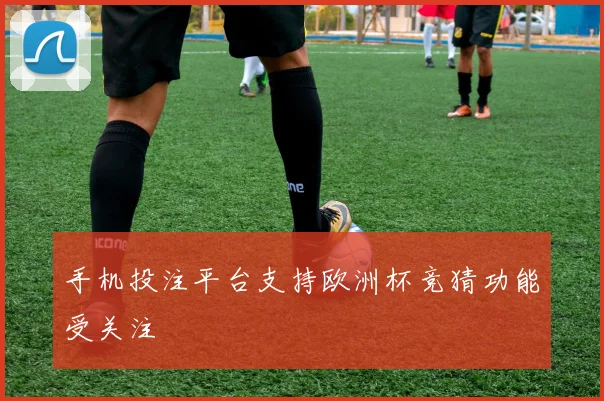 手机投注平台支持欧洲杯竞猜功能受关注