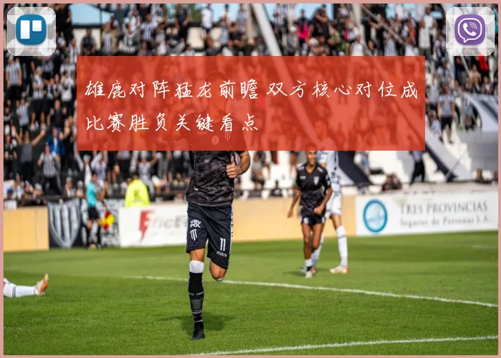 雄鹿对阵猛龙前瞻 双方核心对位成比赛胜负关键看点