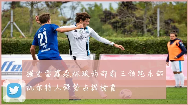 掘金雷霆森林狼西部前三领跑东部凯尔特人强势占据榜首