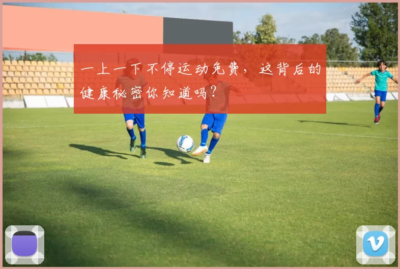 一上一下不停运动免费,这背后的健康秘密你知道吗?