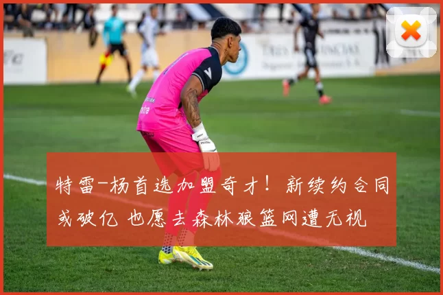 特雷-杨首选加盟奇才！新续约合同或破亿 也愿去森林狼篮网遭无视