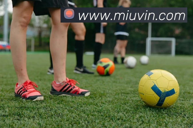 辅助工具 辅助工具